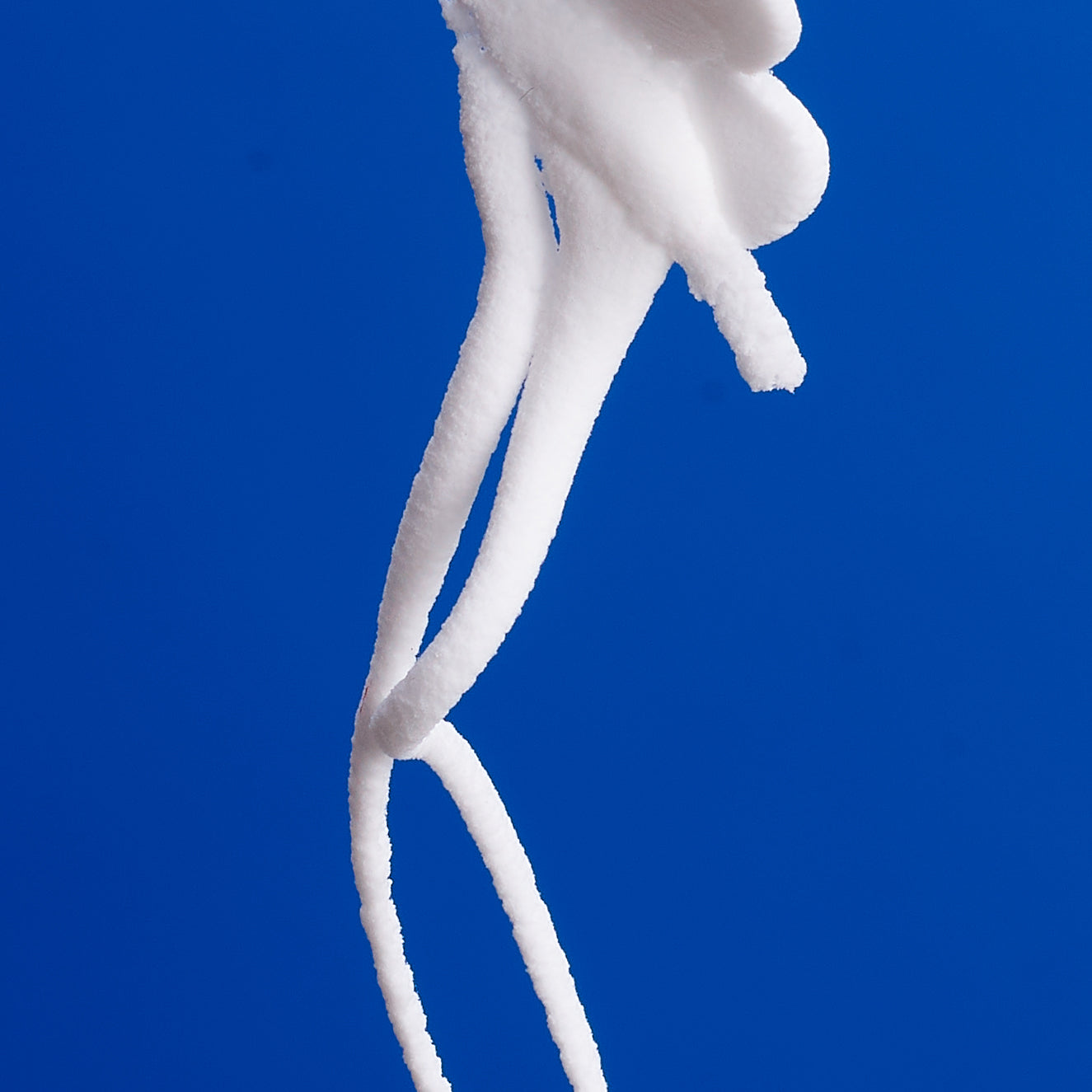 Sloomoo slime sedar plate slime