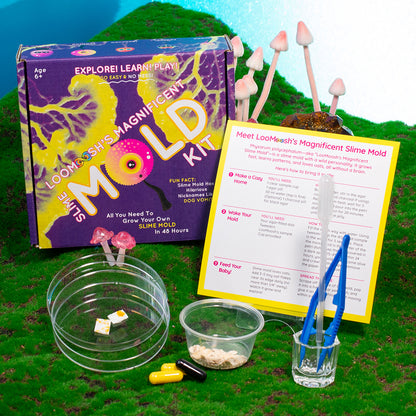 Slime Mold Kit