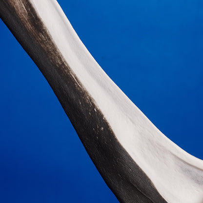 Menorah Slime Bundle