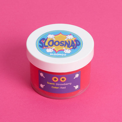 SlooSnap - Sloomooinstitute